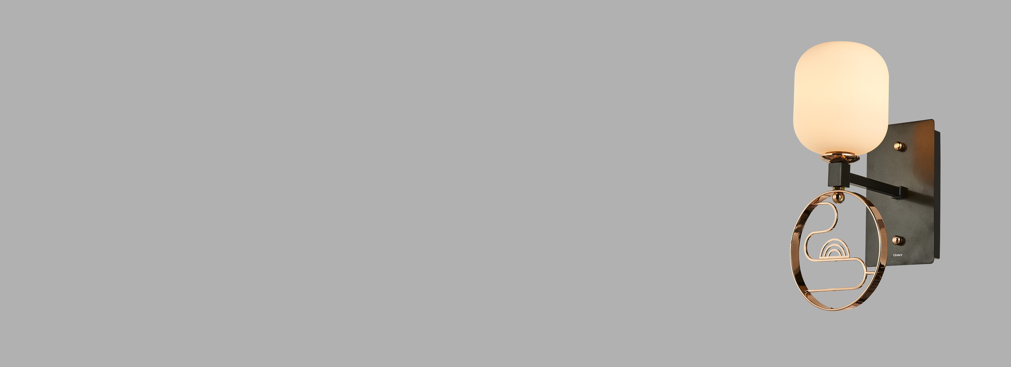 玻璃藝術燈罩
 
 正泰吊燈XDD94系...