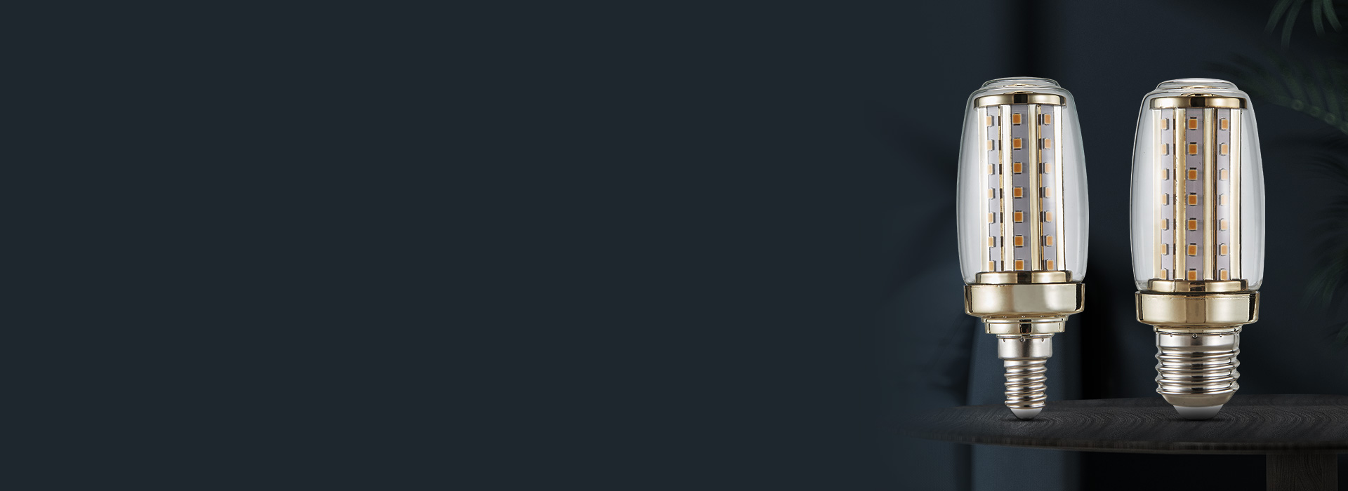 玉米燈：QP28/29系列
 高亮節能，...