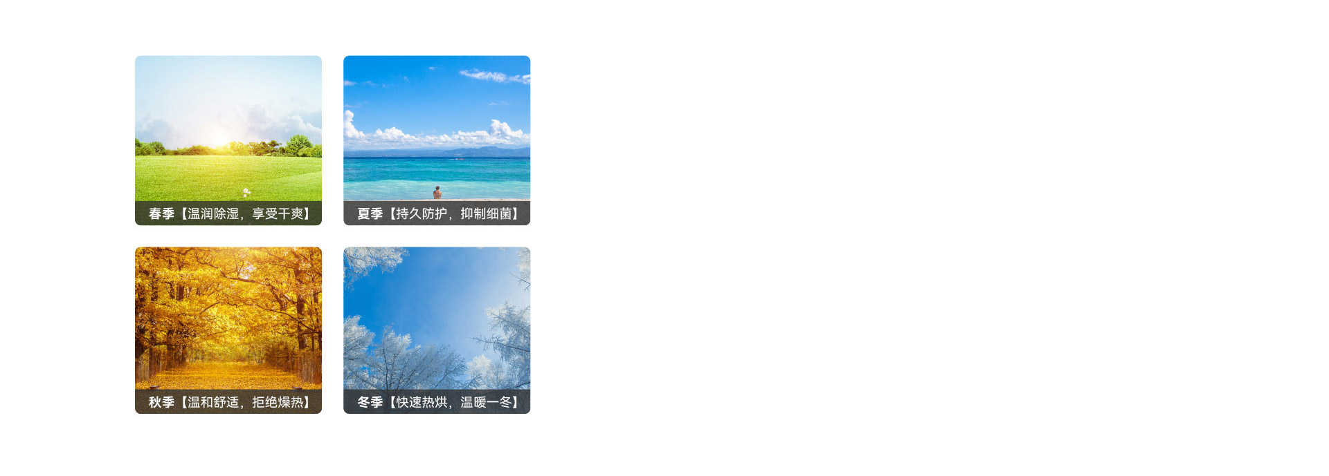 春夏秋冬都能用，陽光體驗
 一年四季，享...