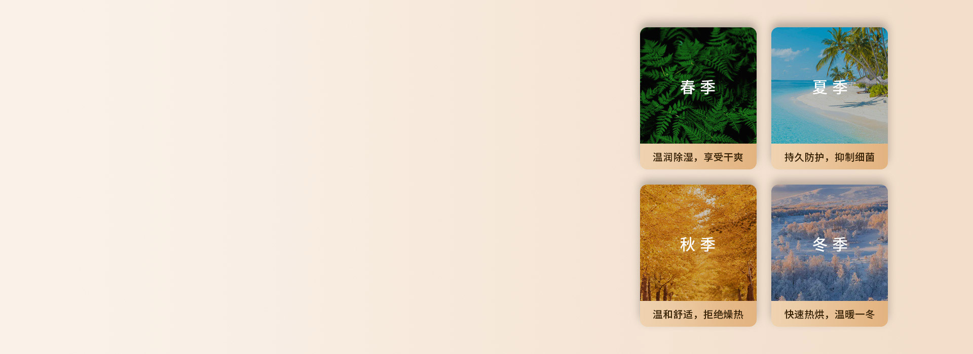 陽光體驗，全年舒享
 一年四季，享受陽光...