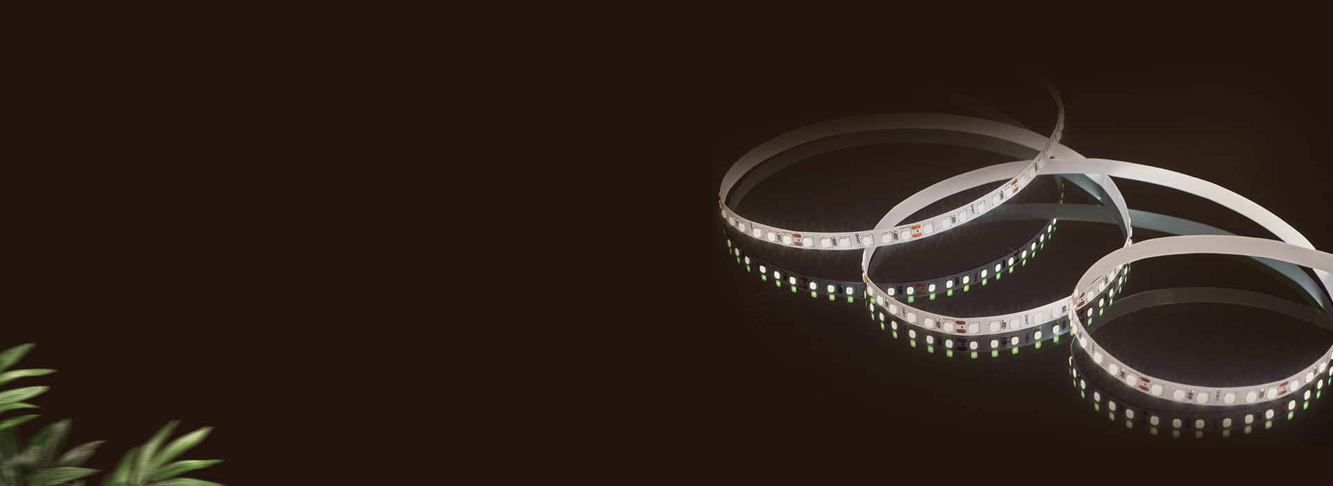 低壓燈帶：DD30A系列
 低壓安全，柔...