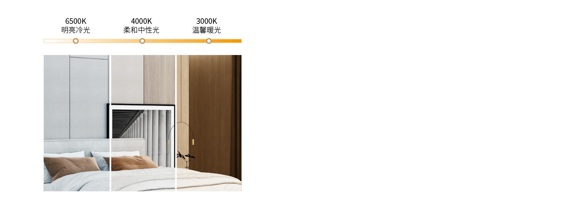 三色變光，營造個性化氛圍
 可選三色分段...